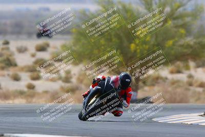 media/Apr-10-2022-SoCal Trackdays (Sun) [[f104b12566]]/Turn 5 Tree of Life (1040am)/